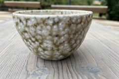 25-09-01-09-44-32-6923-scaled